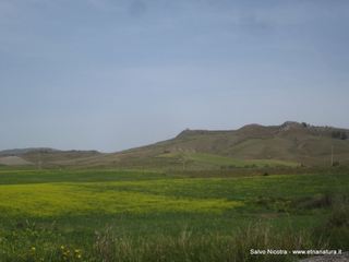 etra Perciata-27-04-2016 22-33-17